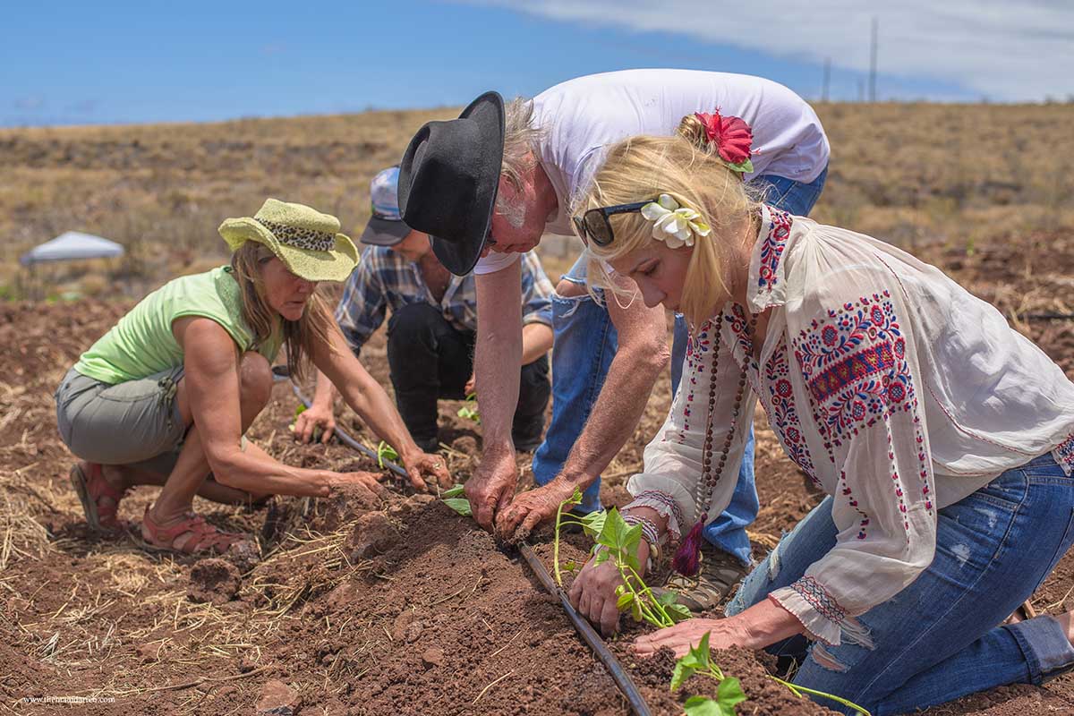 Neil Yound and Daryl Hannah Outgrown Monsanto Maui